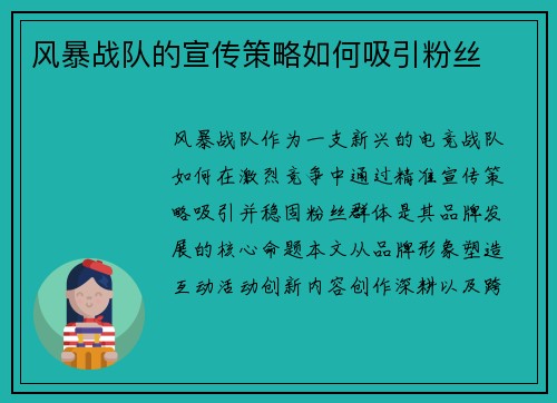 风暴战队的宣传策略如何吸引粉丝